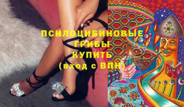 бутират Богородицк