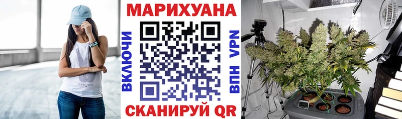 Купить закладки  Лодейное Поле  Конопля сатива 